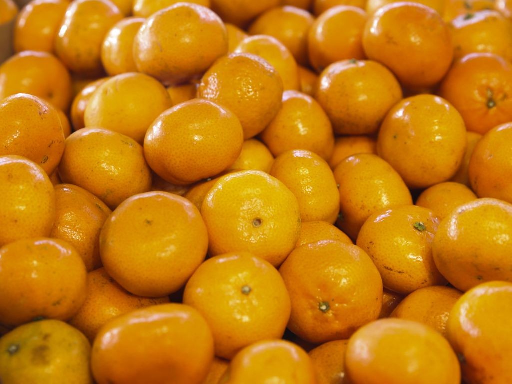 banco_de_imagens_vac_abr_2907221186