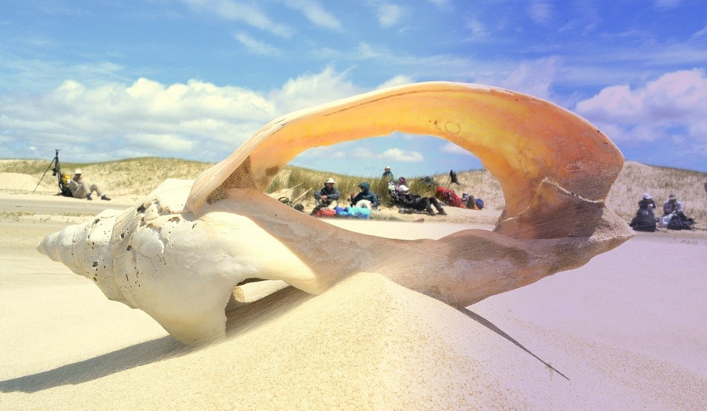 236944220_2928352377427229_6838411425747366948_n