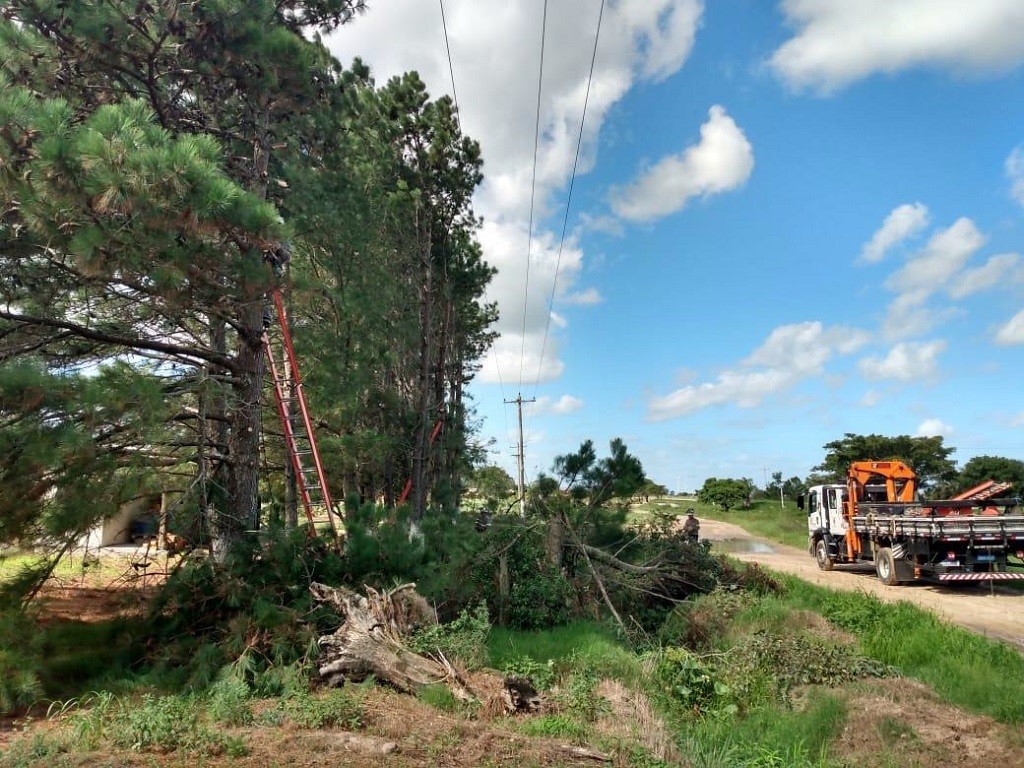 WhatsApp Image 2022-05-03 at 13.36.37