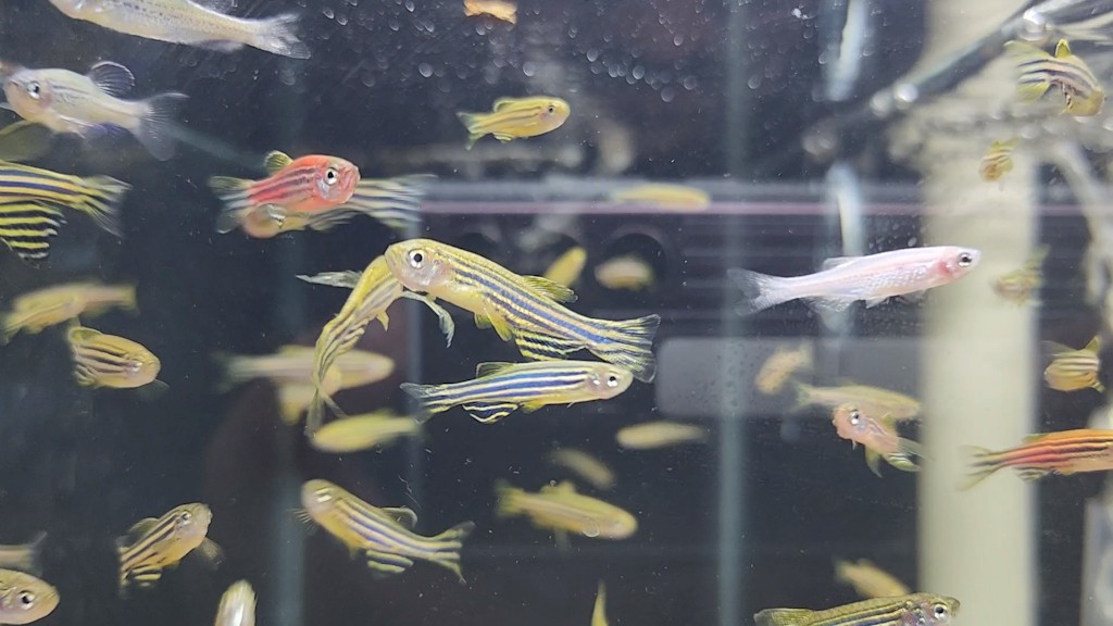 VideoCapture_20221015-130139