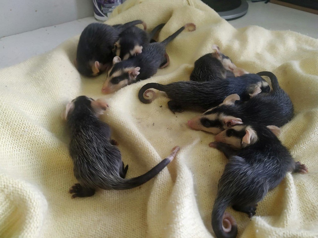 WhatsApp Image 2020-09-08 at 12.38.37