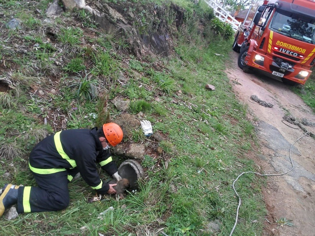 WhatsApp Image 2020-10-04 at 14.18.21