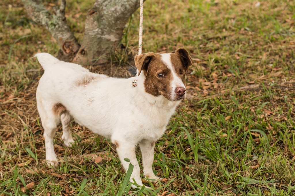 50829286416_750444229c_o