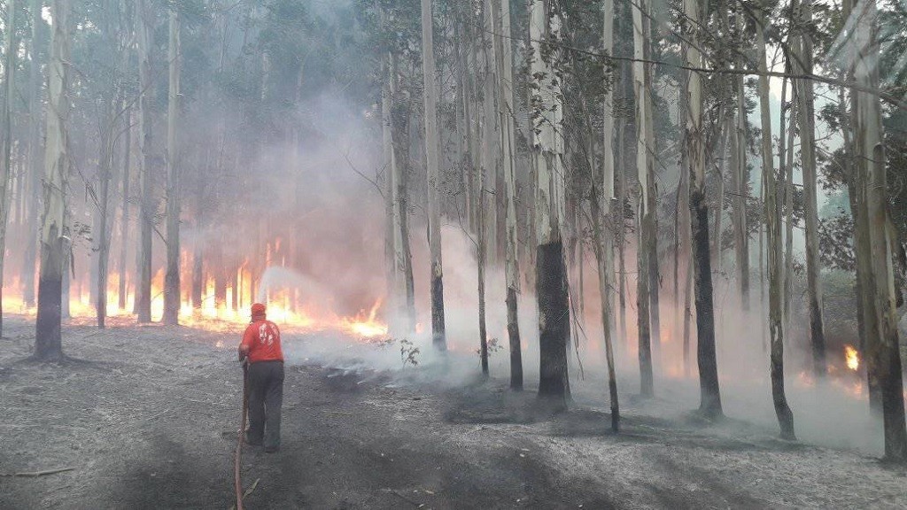 134432147_228197282103066_9090680505603089981_n