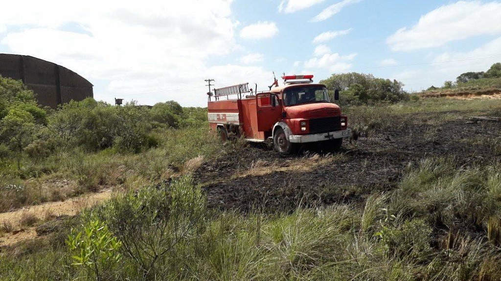 127972901_207861007470027_5810833241442069346_n