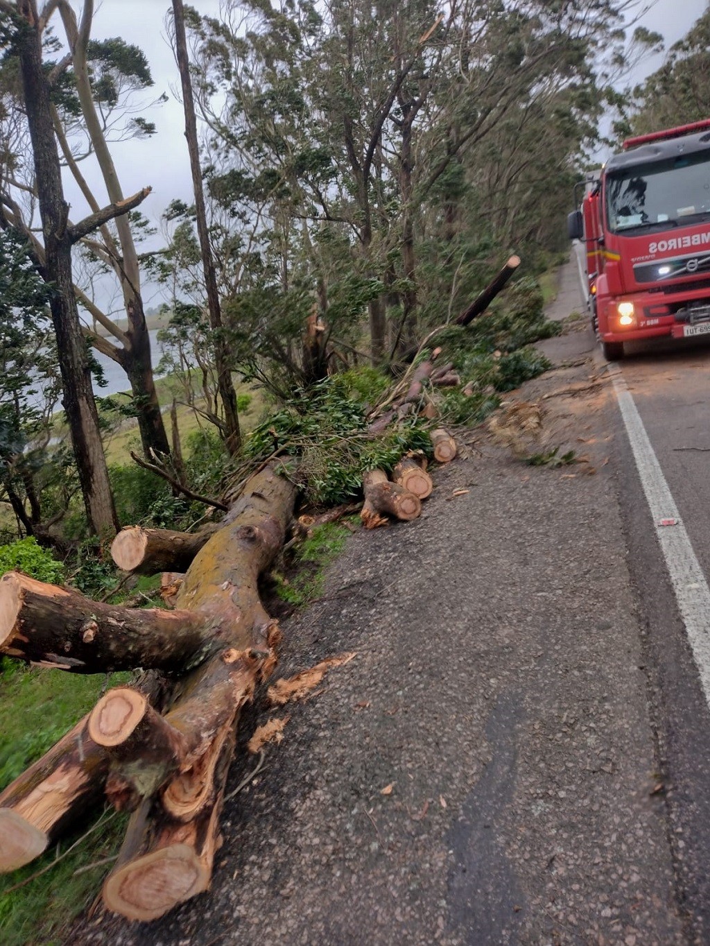 WhatsApp Image 2021-09-08 at 09.17.23