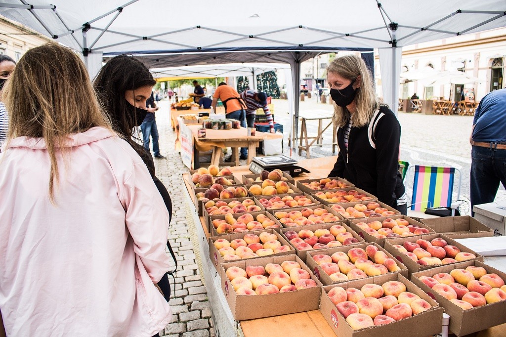 51705461257_406797327f_o