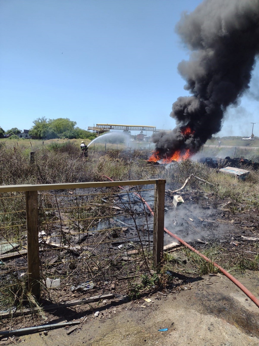 WhatsApp Image 2021-11-20 at 11.55.15