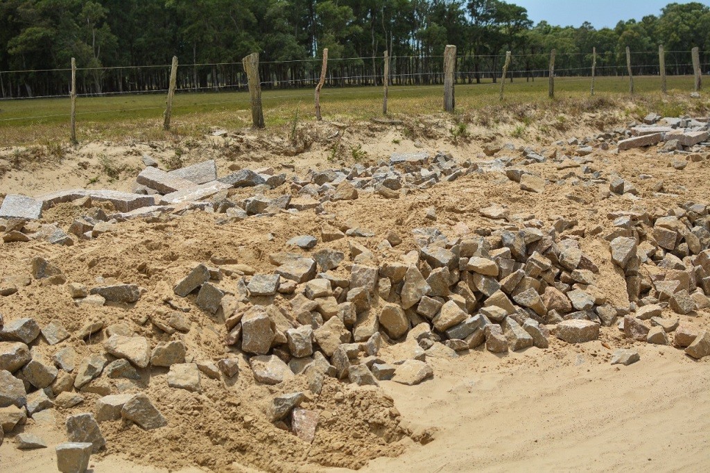 WhatsApp Image 2021-12-30 at 13.15.21(1)