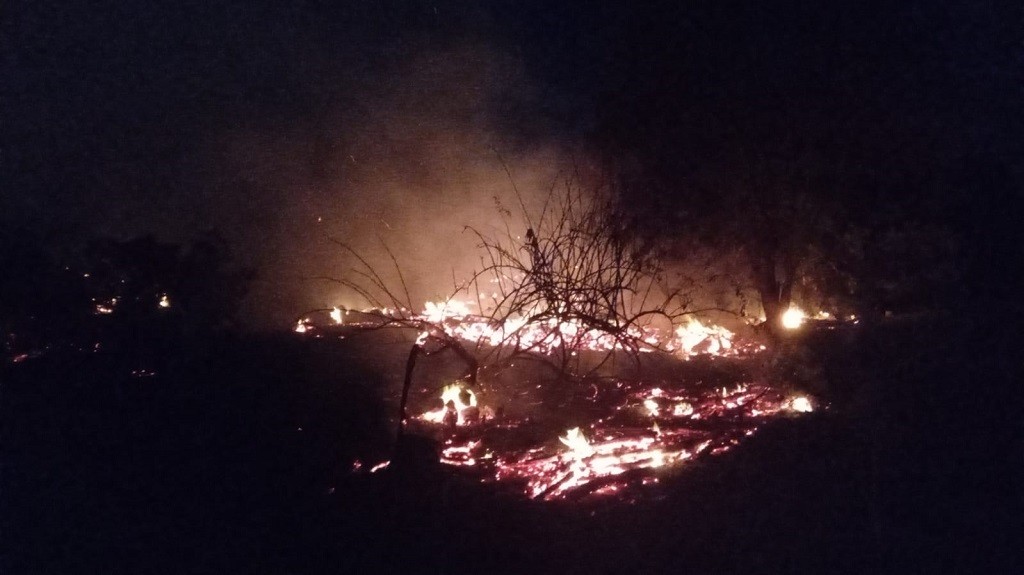 WhatsApp Image 2022-01-11 at 20.42.39