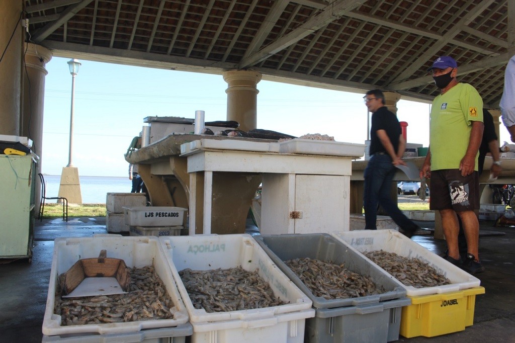 WhatsApp Image 2022-02-01 at 16.38.09