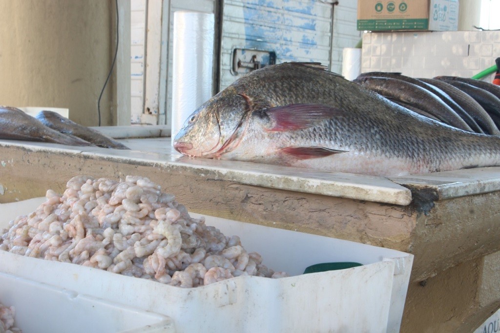 WhatsApp Image 2022-02-01 at 16.38.28